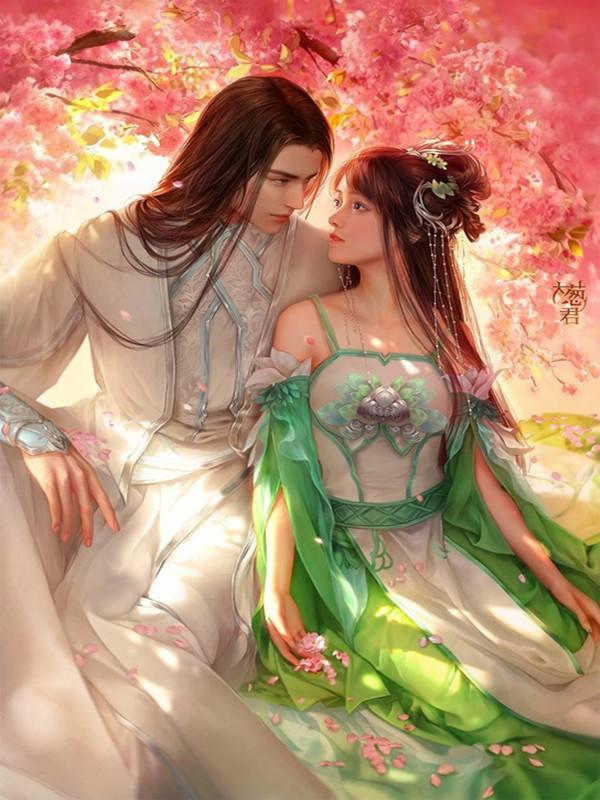 庄非鸢周何赏析封面