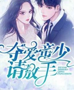 你是我的风景林辛言封面