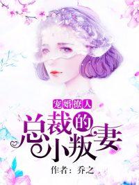 奚声声褚桉女频小说封面