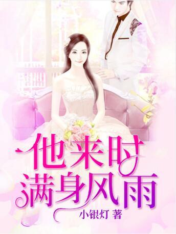 他来时满身风雨桑宁傅承岳封面