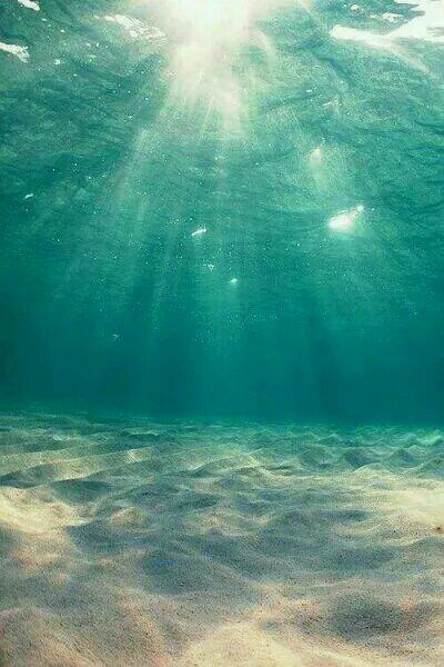 崔喜周闵生封面