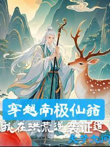 我南极仙翁，法则证道封面