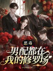 恶毒男配都在我的修罗场封面
