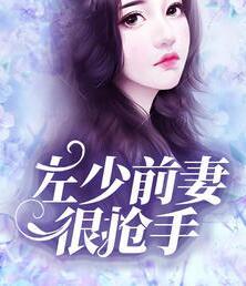 左少前妻很抢手封面