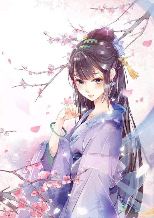 苏梅赵勇苏涛云封面