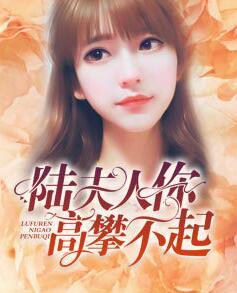 离婚后，夫人你高攀不起封面