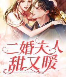 苏柠霍子城封面