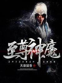 至尊神魔封面