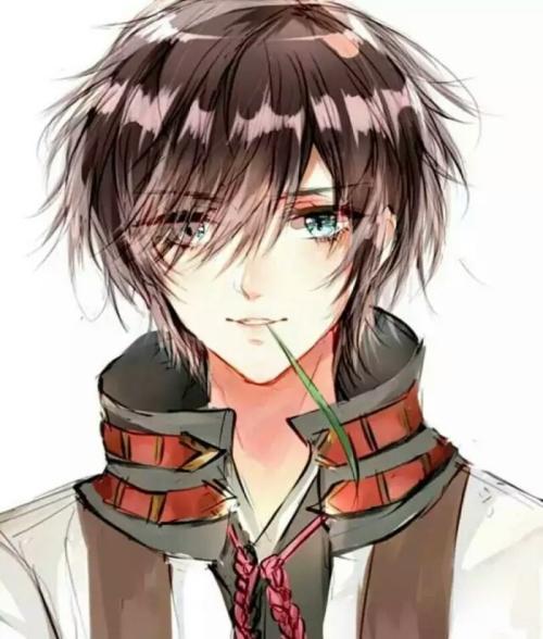 抓住帝王心,我—夜翻身成宠妃百度云封面